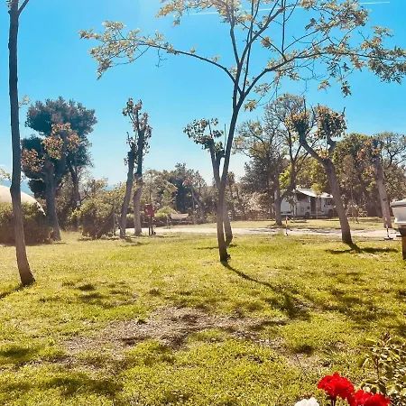 Torre Mucchia Camping *