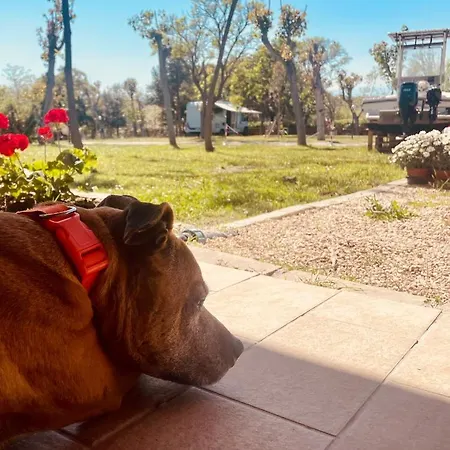 Torre Mucchia Ortona