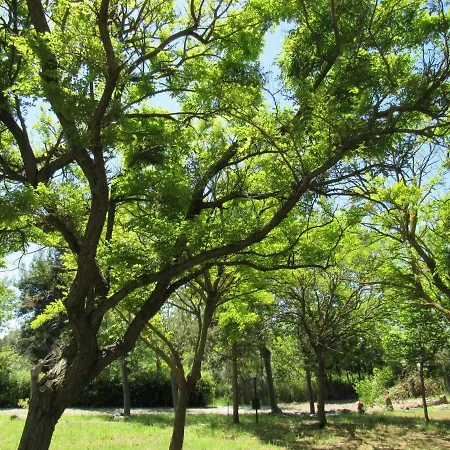 Torre Mucchia Kemping Ortona