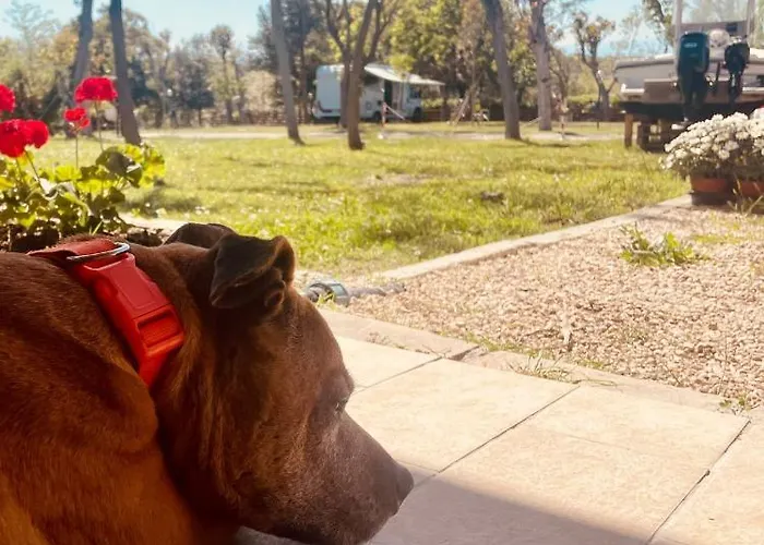 Torre Mucchia Ortona