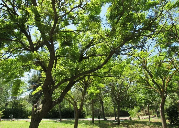 Torre Mucchia Kamp alanı Ortona